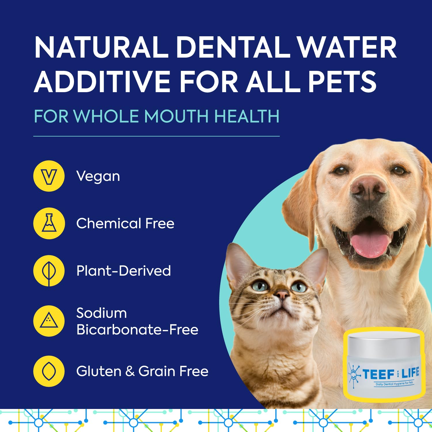 Protektin42K dosing scoop demonstrates easy daily dental care for pets.