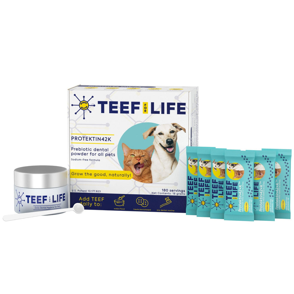 TEEF FOR LIFE Protektin42K packaging front highlights sodium-free pet dental care.