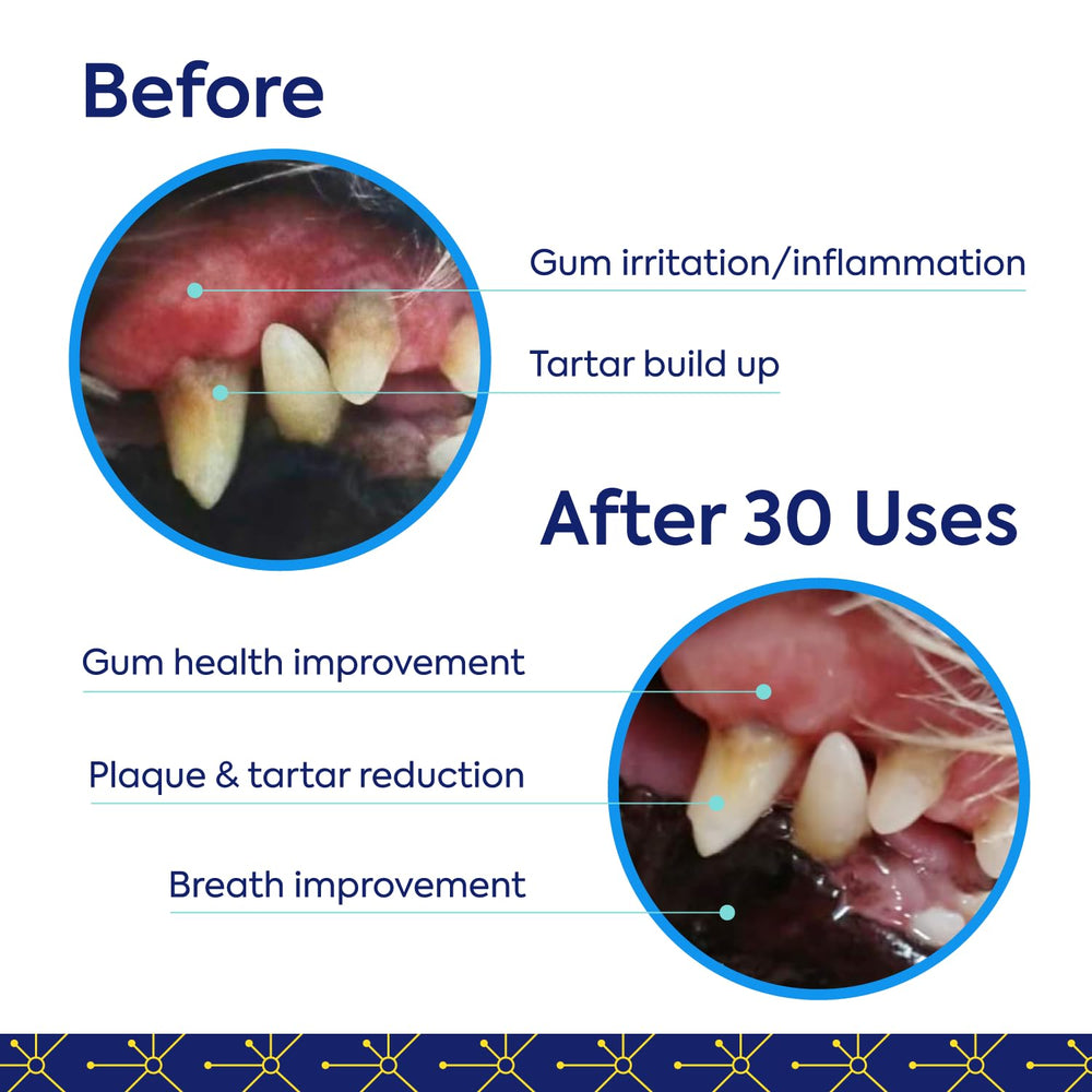 Plant-derived ingredients label emphasizes vegan, human-grade components for mouth health.