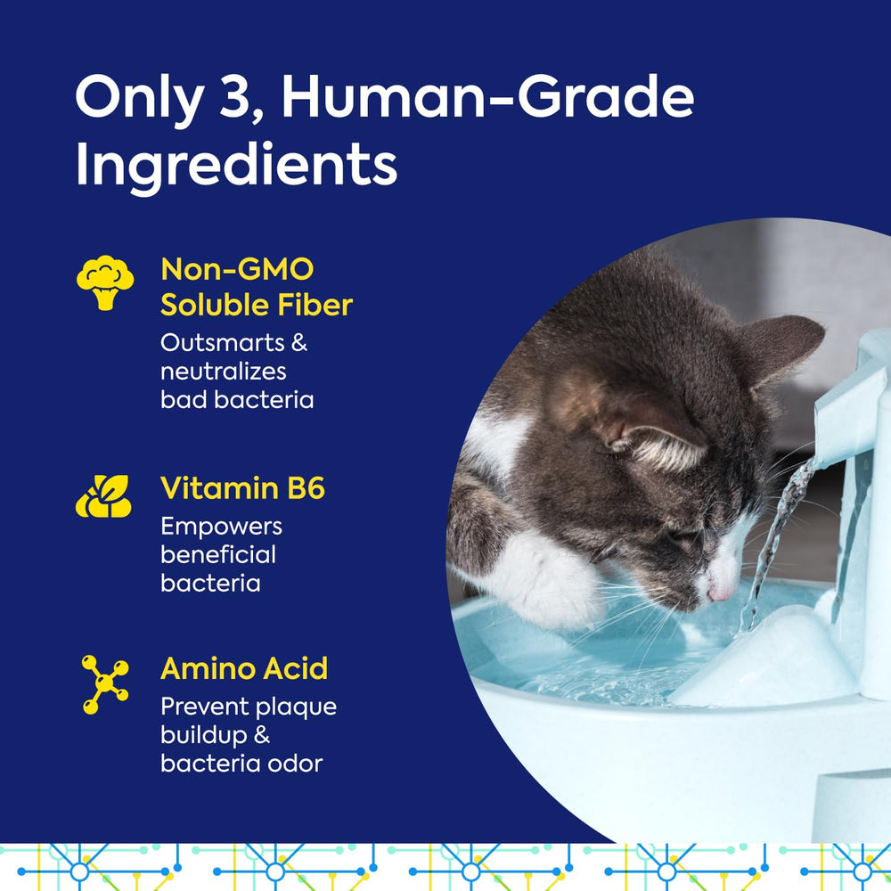 Six-pack box image highlights long-term dental care with 180 servings.