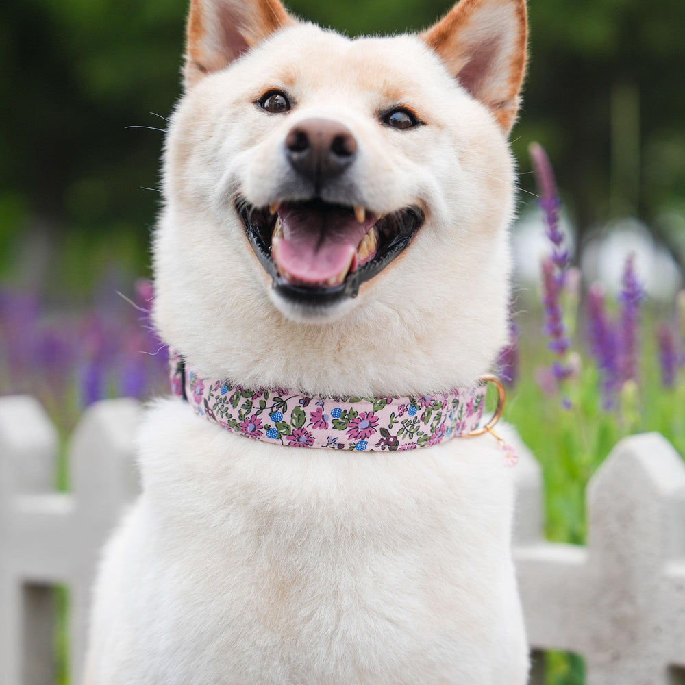 TEEMERRYCA durable composite fabric resists abrasion for long wear