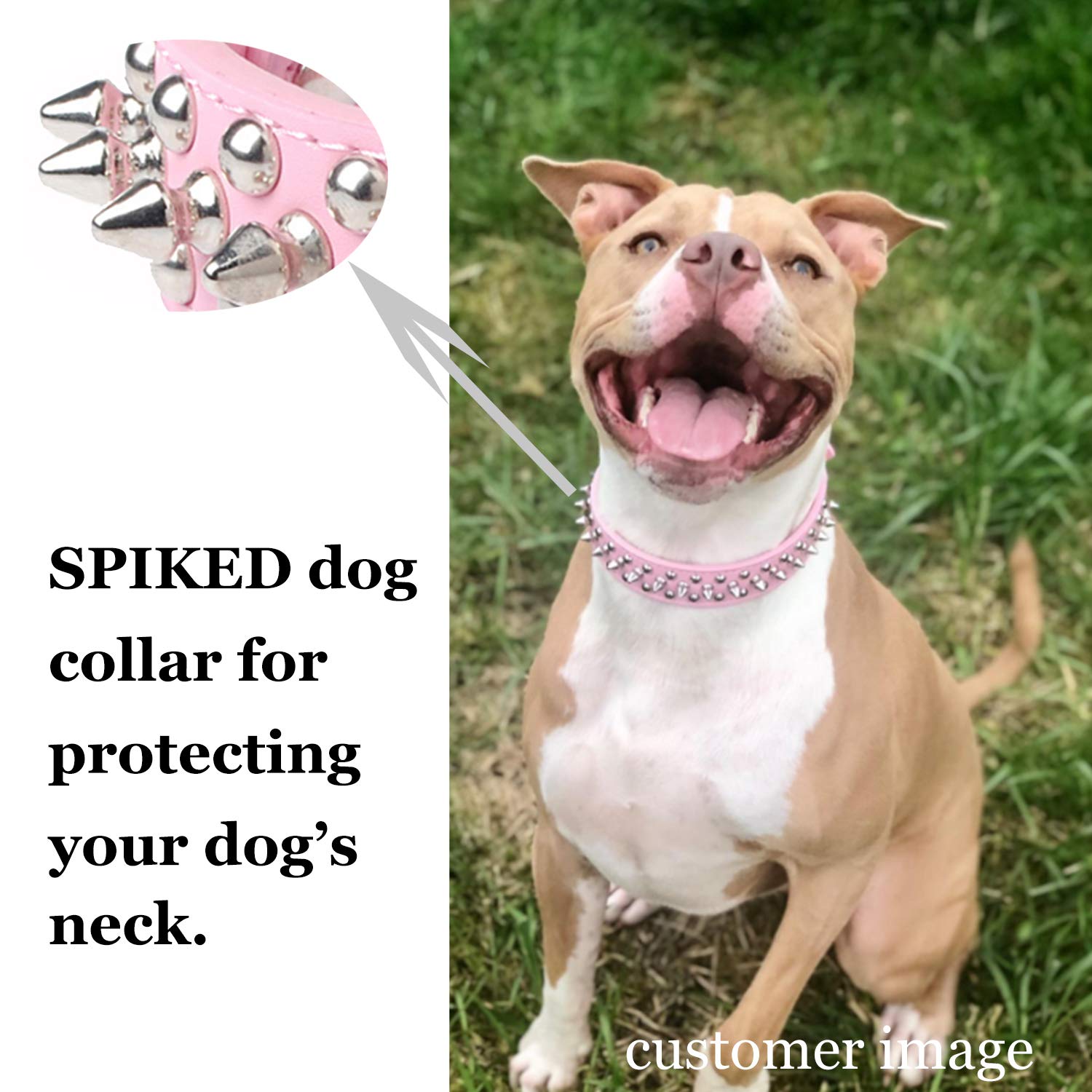 TEEMERRYCA perro con collar espigas, seguridad y estilo durante el juego.
