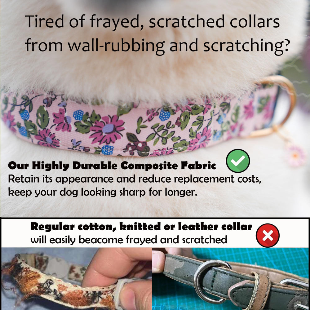 TEEMERRYCA strong buckle and D-ring enable secure leash attachment