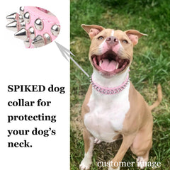 TEEMERRYCA studded collar close-up showing zinc alloy rivets for lasting strength.