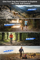 Teendow T800 Pro waterproof IPX7 collar withstands rain and splashes