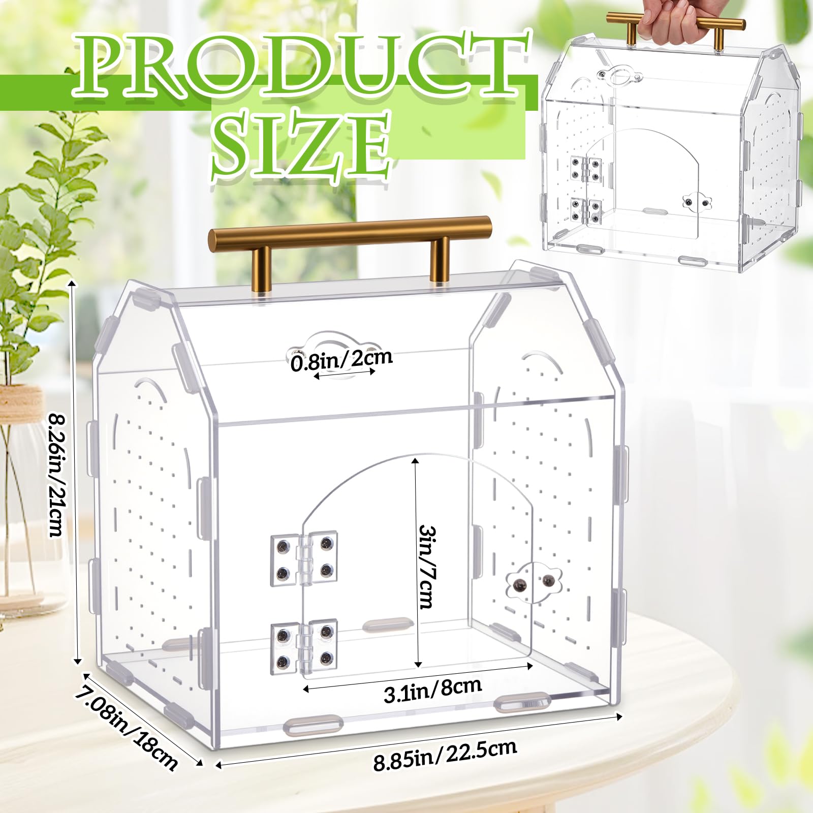 Teenyyou acrylic terrarium clear 360 view for easy pet health monitoring.