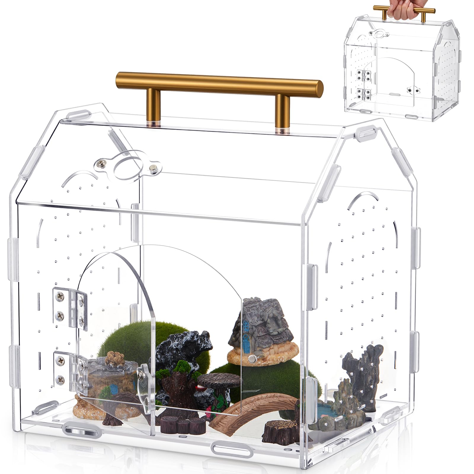 Teenyyou jumping spider enclosure angled view enables clear, 360-degree observation.