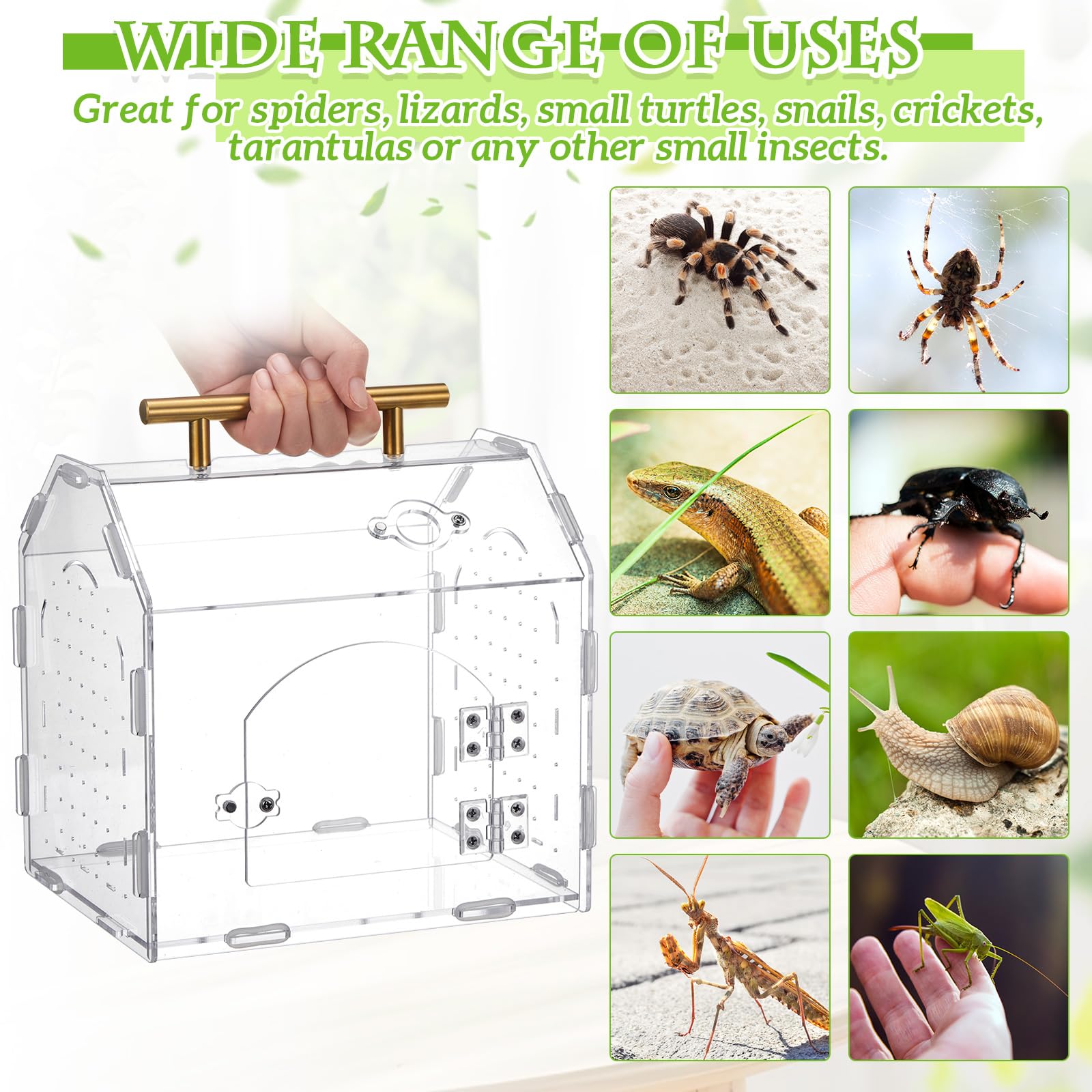 Teenyyou magnetic-door terrarium feeding access reduces escape risk.