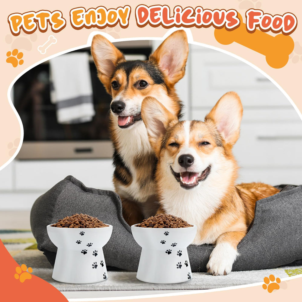 Teenyyou small-dog mealtime setup with elevated bowls