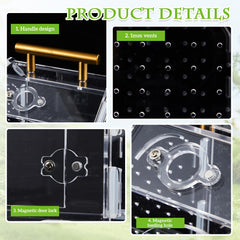 Teenyyou terrarium with rubber bands easy assembly and secure setup.