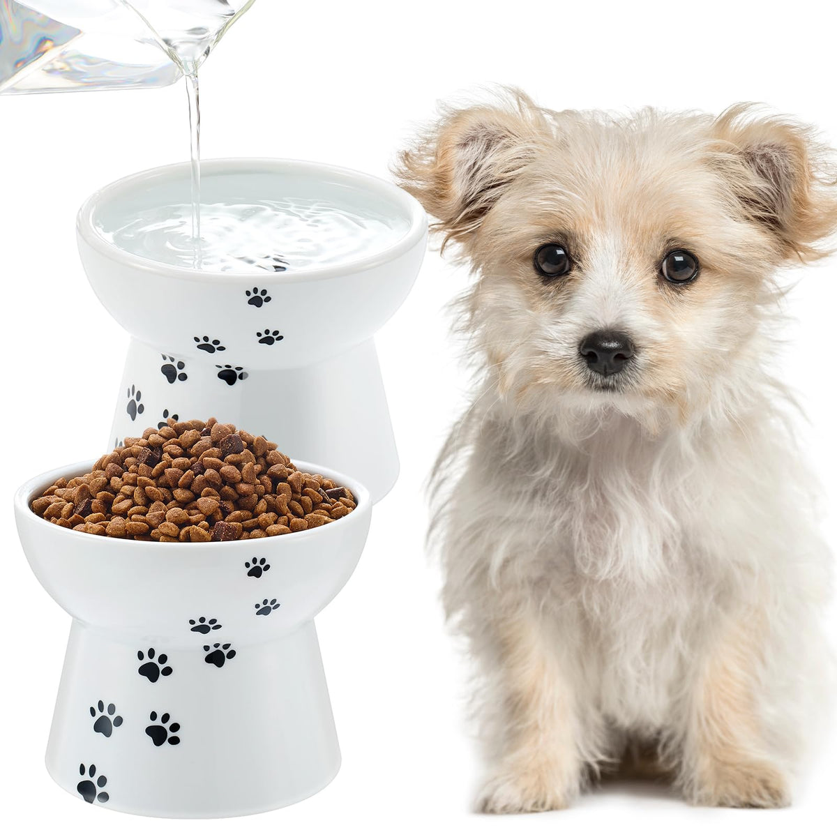 Teenyyou two-pack elevated ceramic dog bowls, front view showing compact size for small dogs