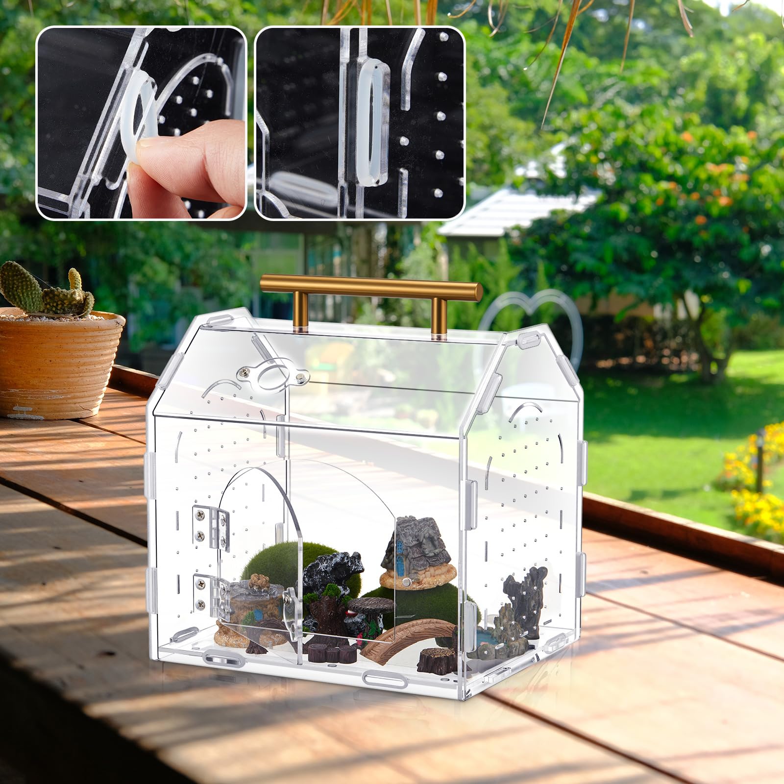 Teenyyou versatile small-pet terrarium suited for spiders, reptiles, amphibians.