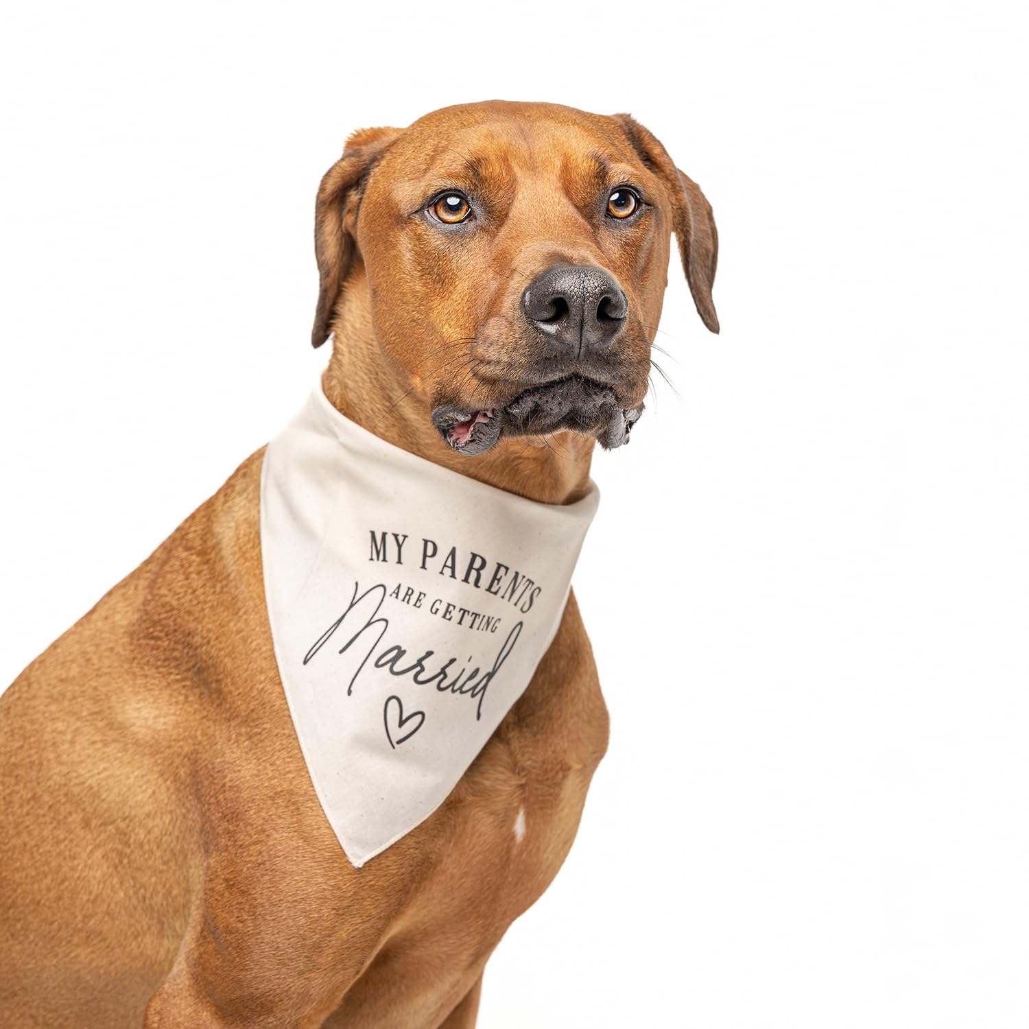 Tees & Tails 100% cotton adjustable triangle ensures soft, breathable comfort for dogs.