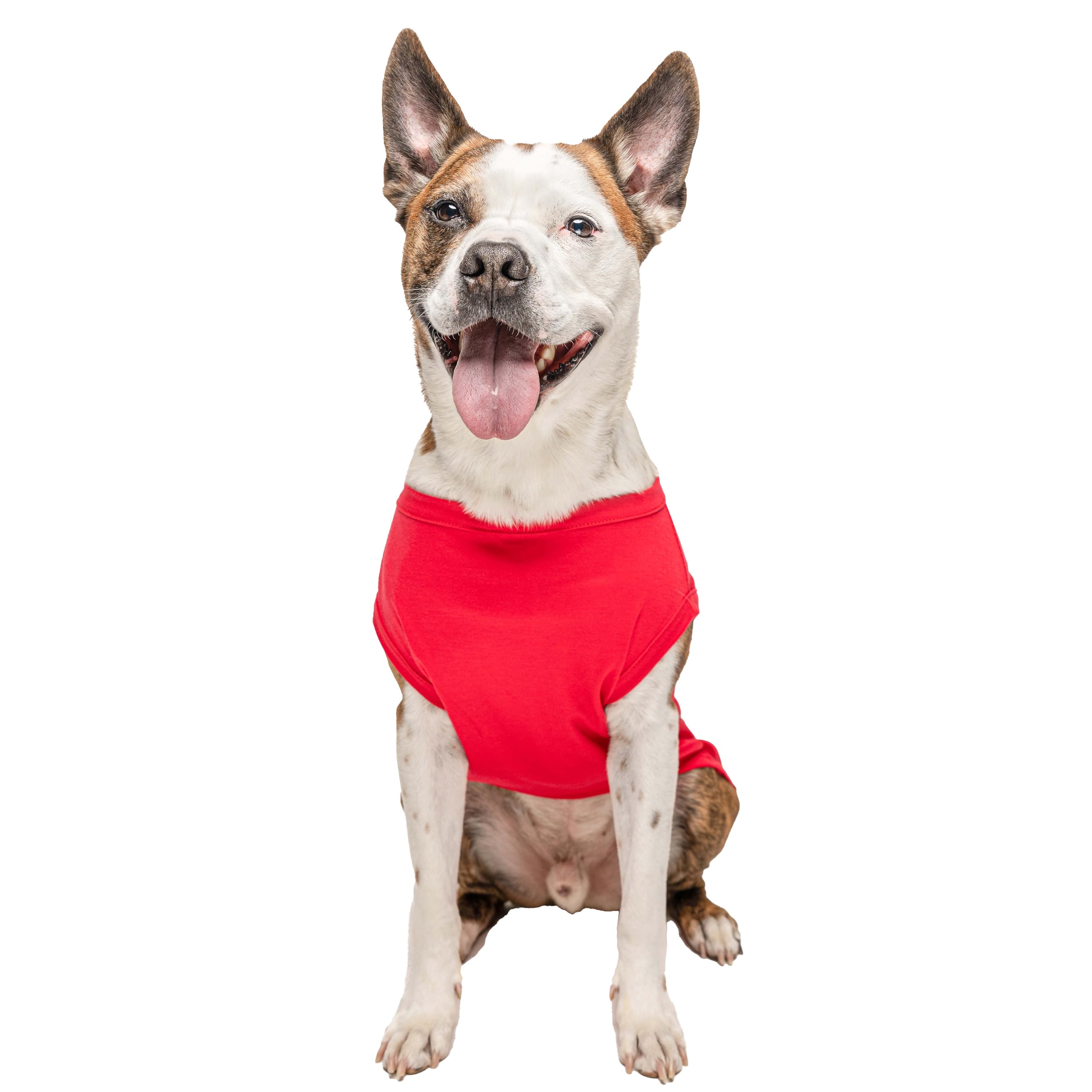 Tees & Tails ketchup bottle dog tee side view shows sleeveless, breathable design.