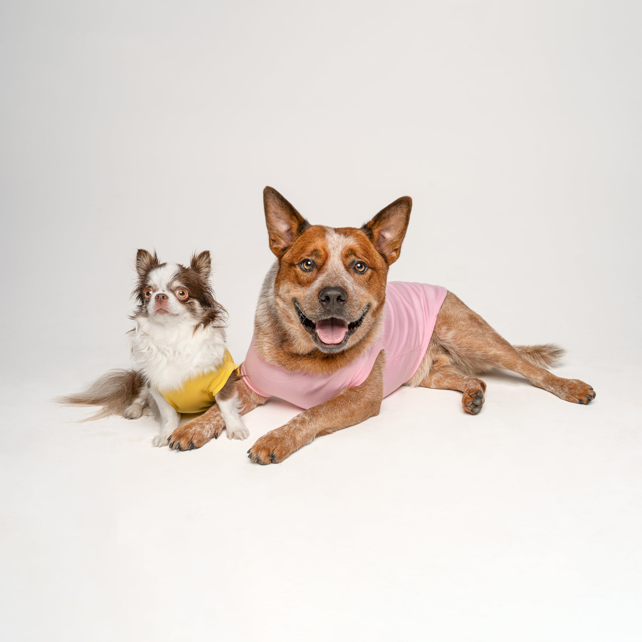 Tees & Tails Love My Grandma Valentine’s Dog Tee side view highlights comfortable fit.