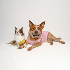 Tees & Tails Love My Grandma Valentine’s Dog Tee side view highlights comfortable fit.