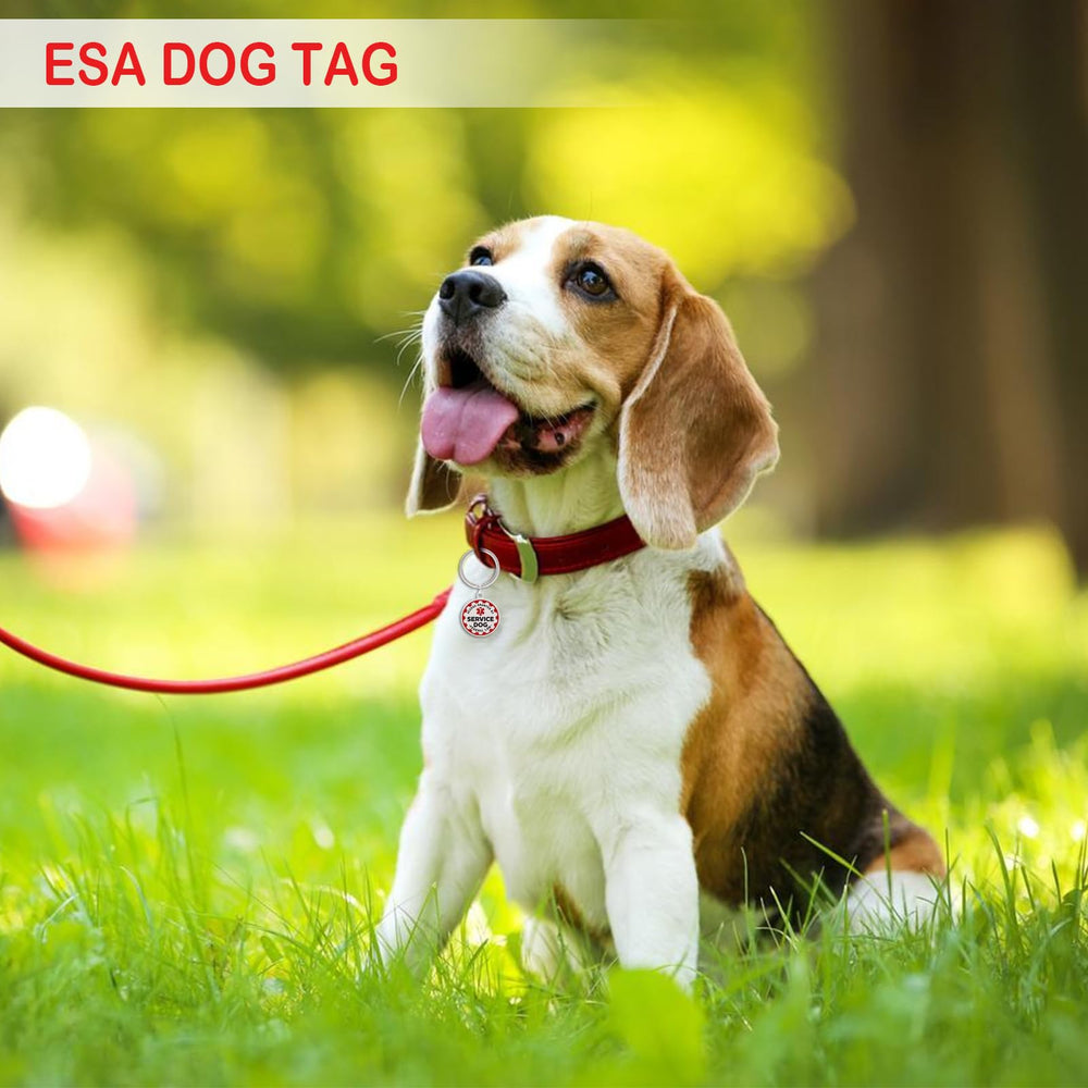 TEESSUE ESA dog tag daily-wear accessory for parks and travels
