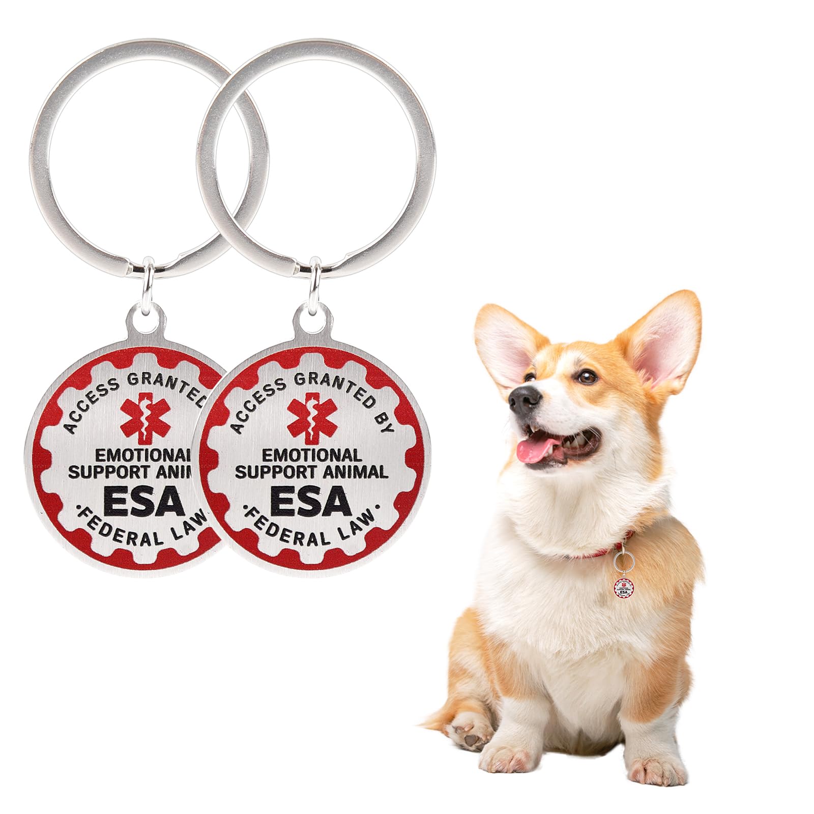 TEESSUE ESA dog tag durable stainless steel for daily wear