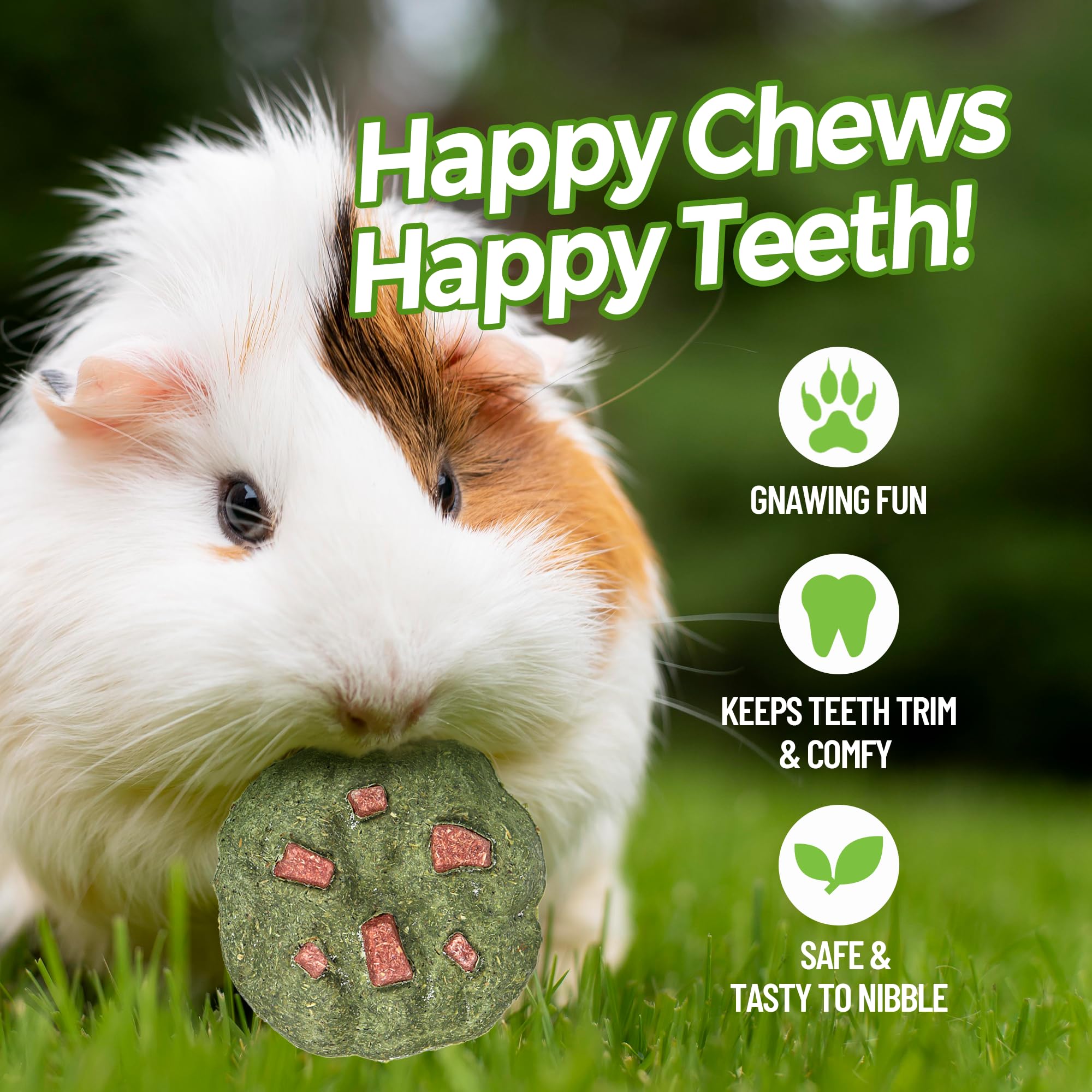 TEEWY Cookie Guinea Pig Toy donut-shaped design adds playful cage entertainment