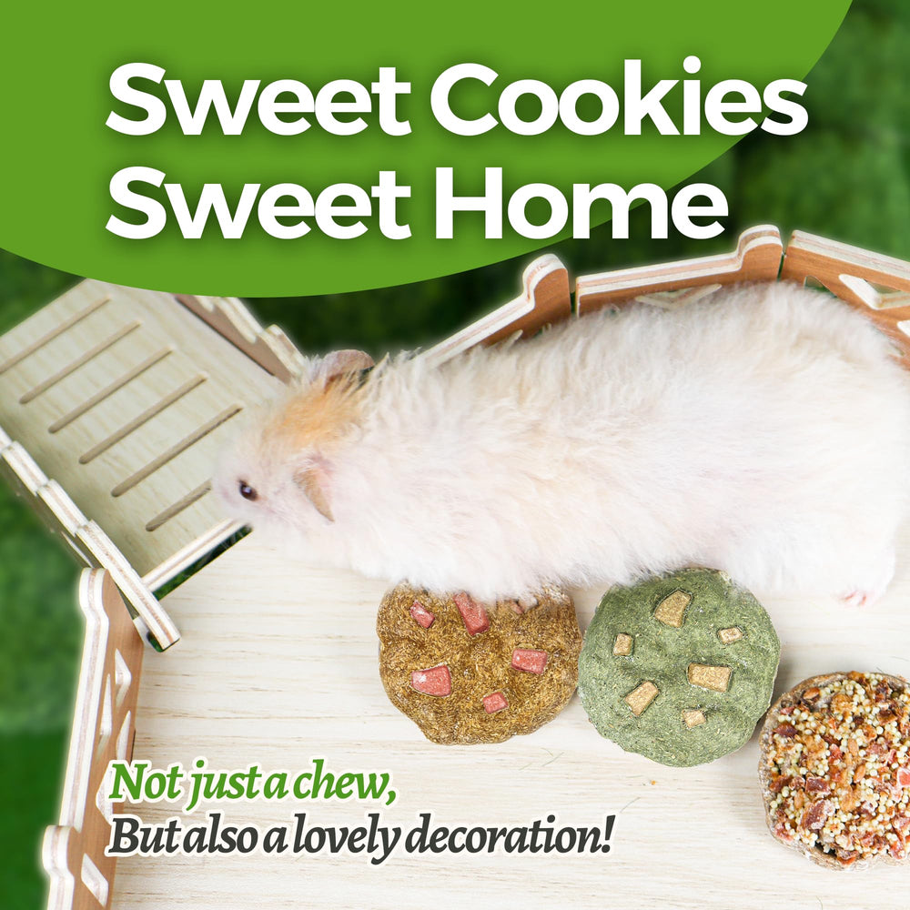 TEEWY Cookie Guinea Pig Toy promotes enrichment, chewing, and exploration