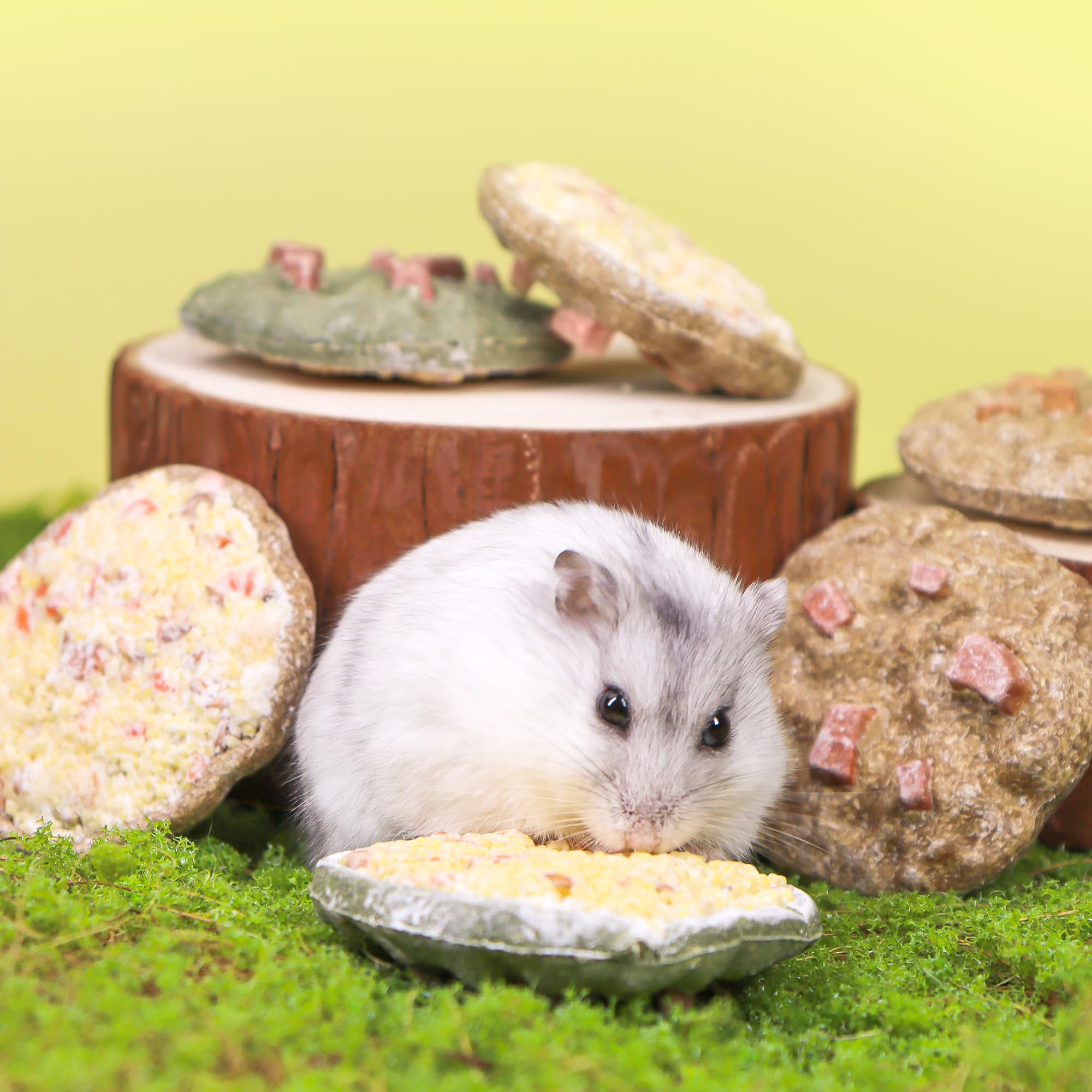 TEEWY Cookie Guinea Pig Toy comes in ready-to-use packaging