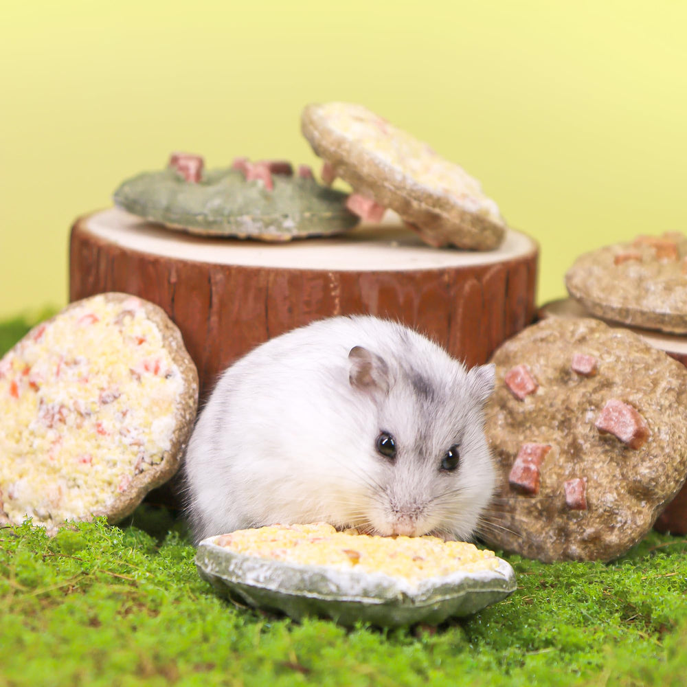 TEEWY Cookie Guinea Pig Toy comes in ready-to-use packaging