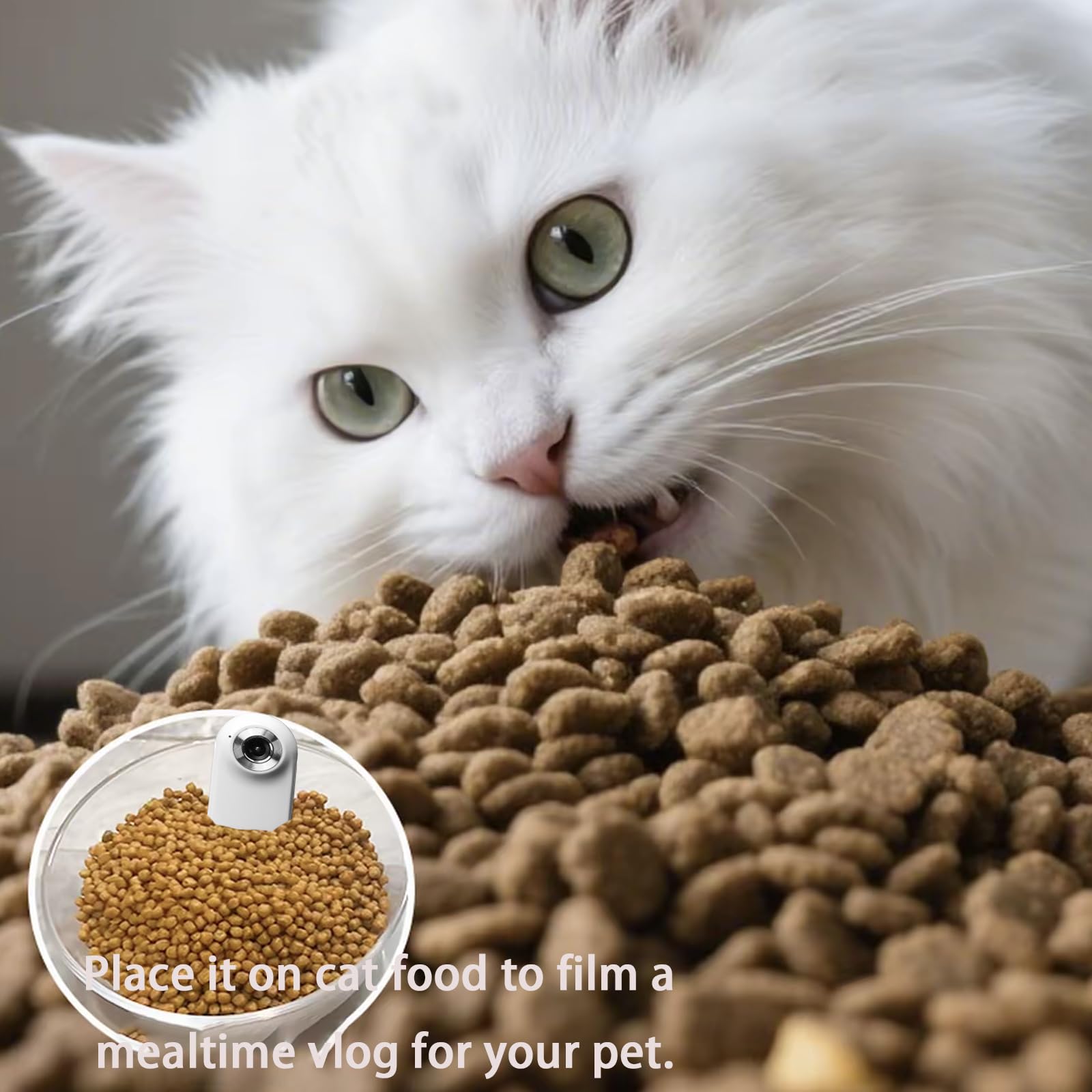 TEFIRE dog camera included accessories offer ready-to-use filming setup