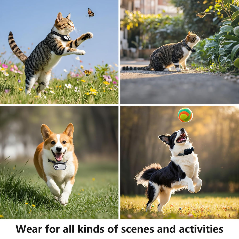 TEFIRE dog camera nylon collar bands ensure comfortable wear