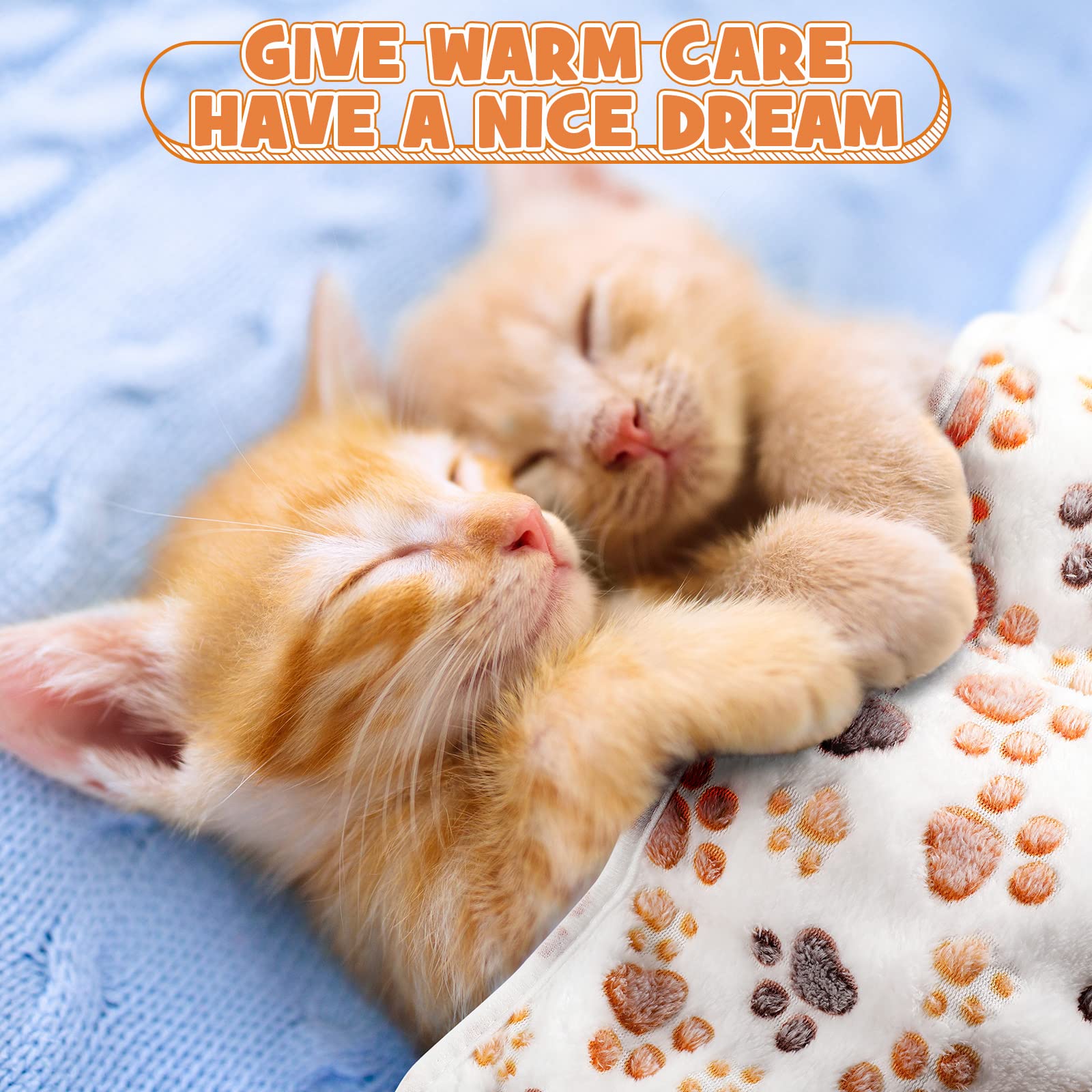 Tegeme lightweight pet blanket beside a sofa to protect furniture from fur.