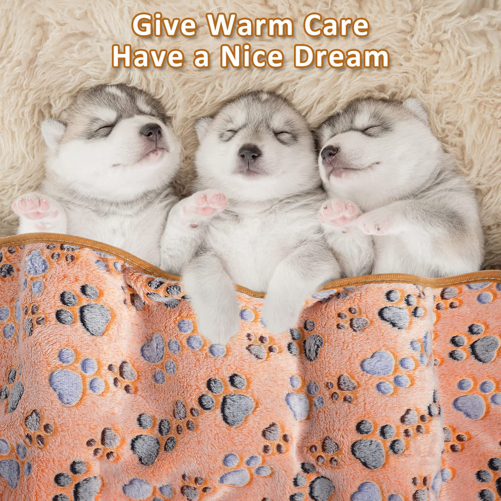 Tegeme blanket protects furniture while keeping pets comfy