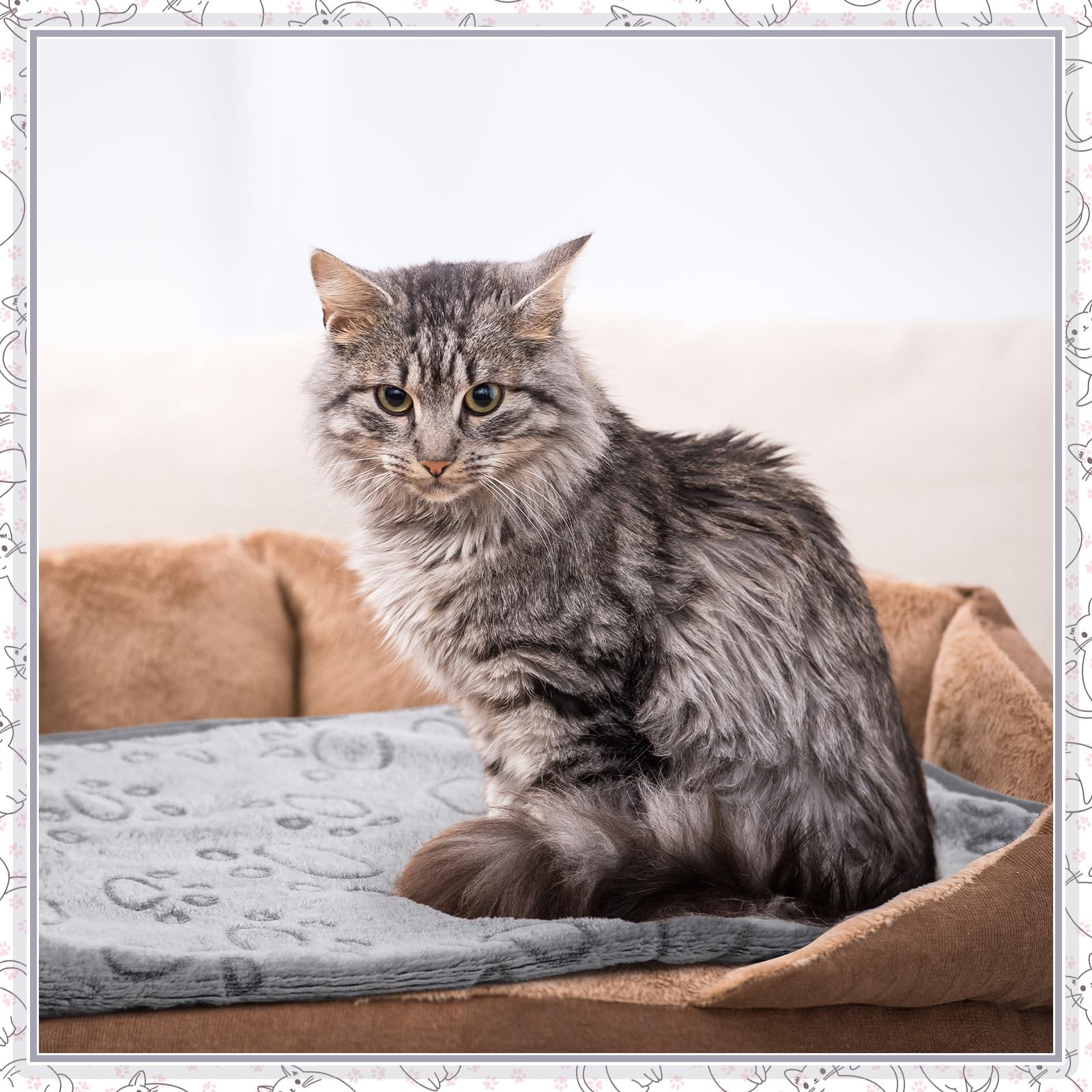 Tegeme portable lightweight blanket for travel and outdoor trips.