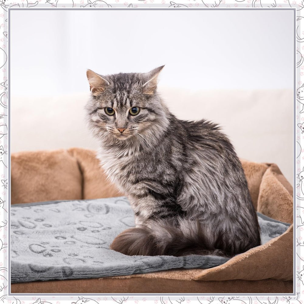 Tegeme portable lightweight blanket for travel and outdoor trips.