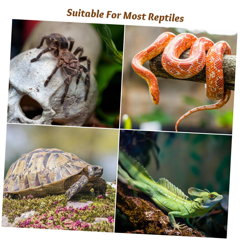 TEHAUX durable plastic construction ensures reliable performance in humid terrariums.