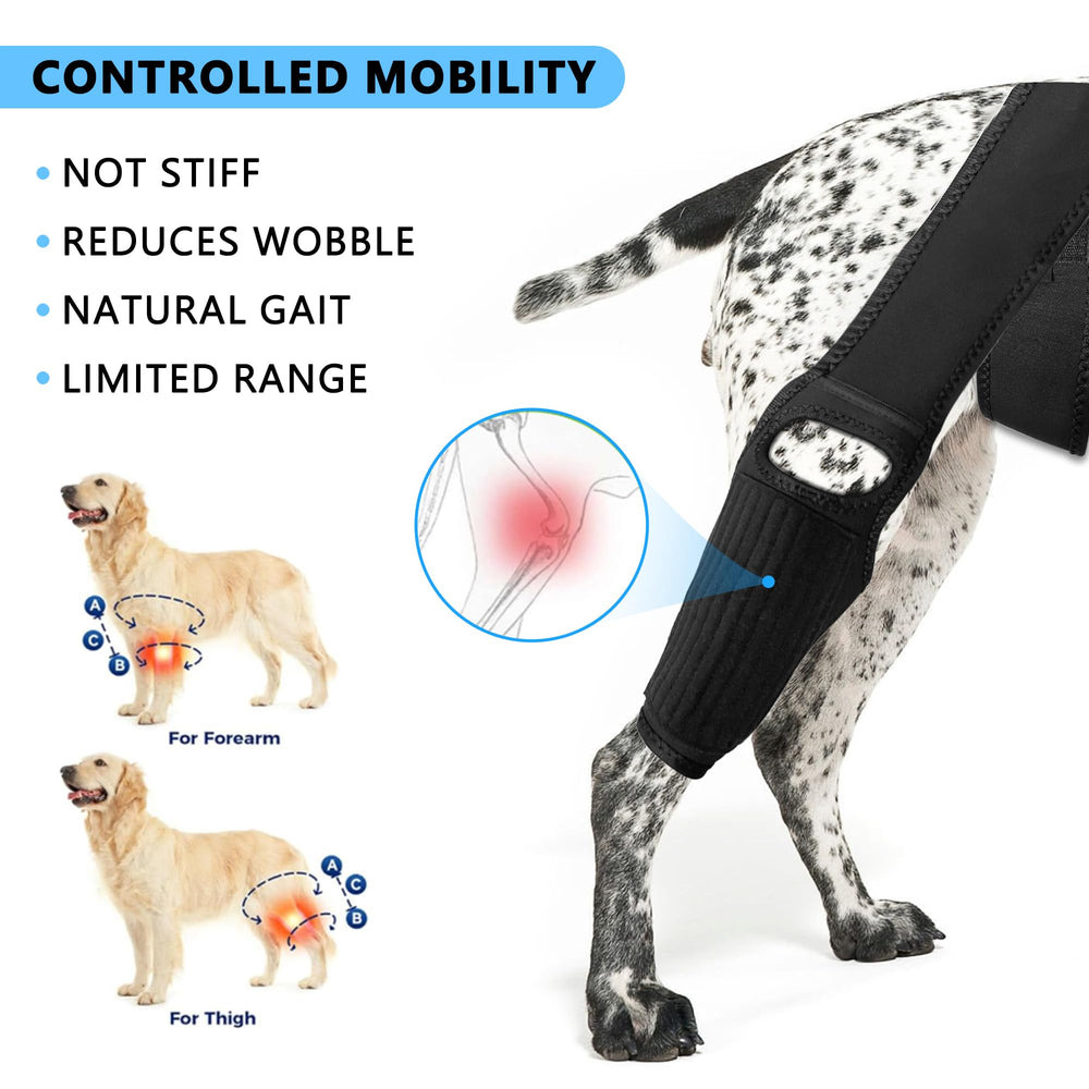 TEHAYSH dog knee brace front-right provides stable daily activity