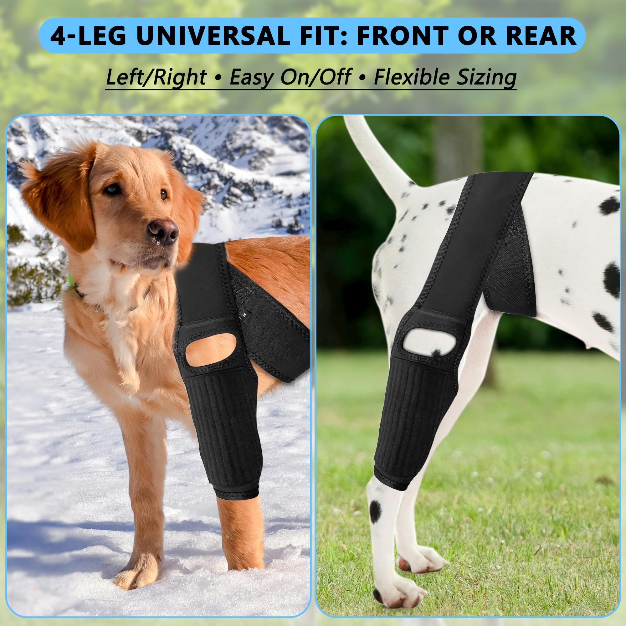 TEHAYSH dog knee brace rear-right aids steady stairs