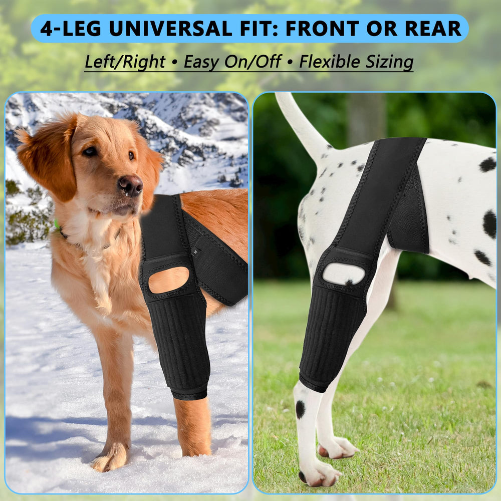 TEHAYSH dog knee brace rear-right aids steady stairs