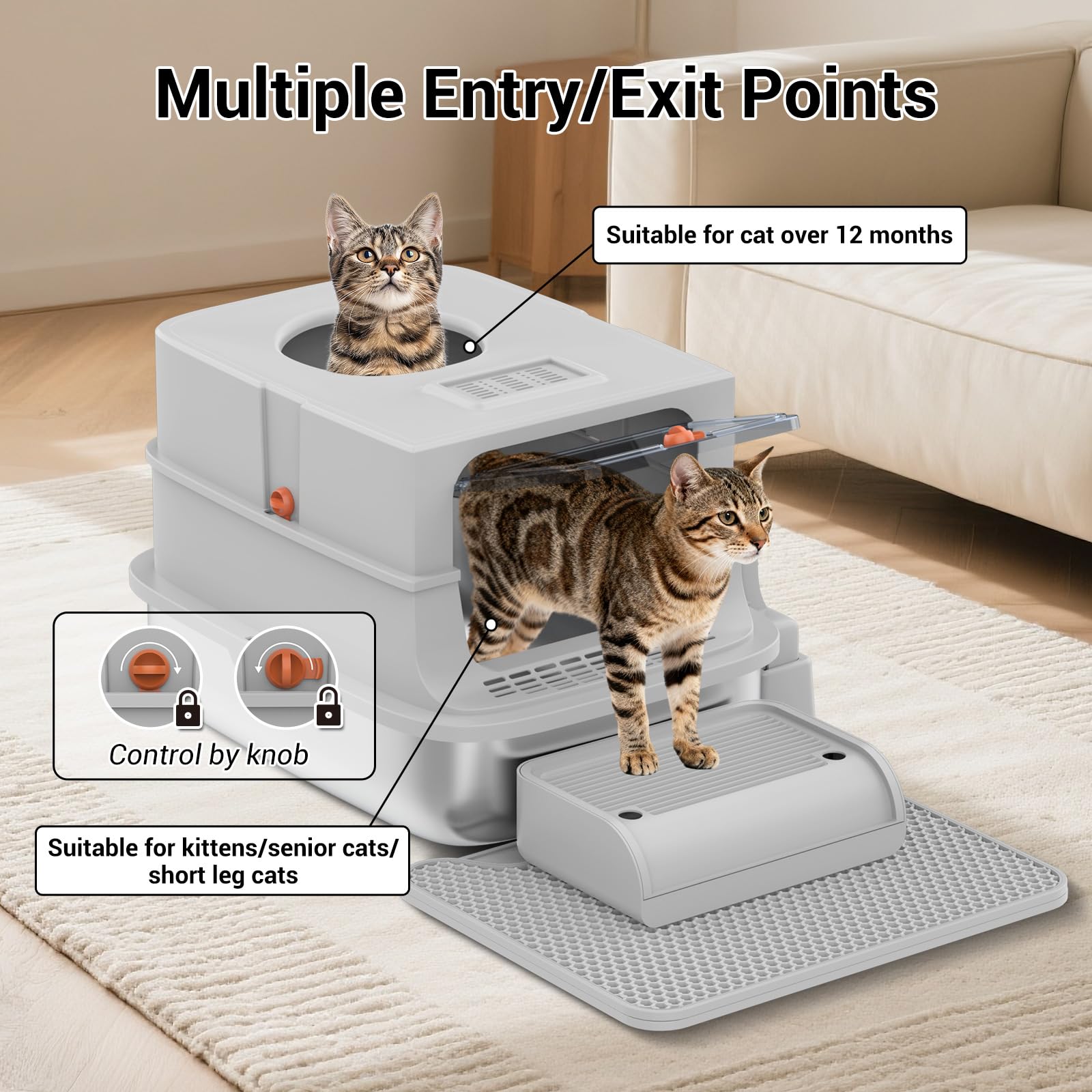 TEKEPL leak-proof design close-up underscores reliable liquid containment.