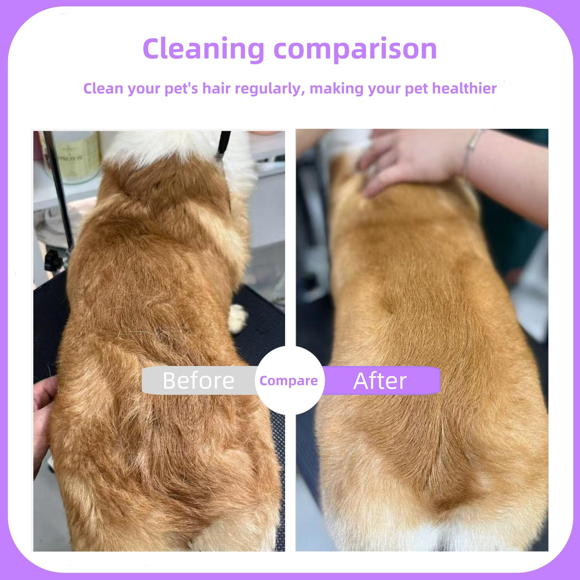 TemApex use-at-home-scene illustrates easy hair removal and dander control.