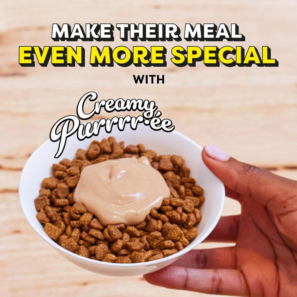 Temptations Creamy Puree under 15 calories per pouch supports mindful treat moments.