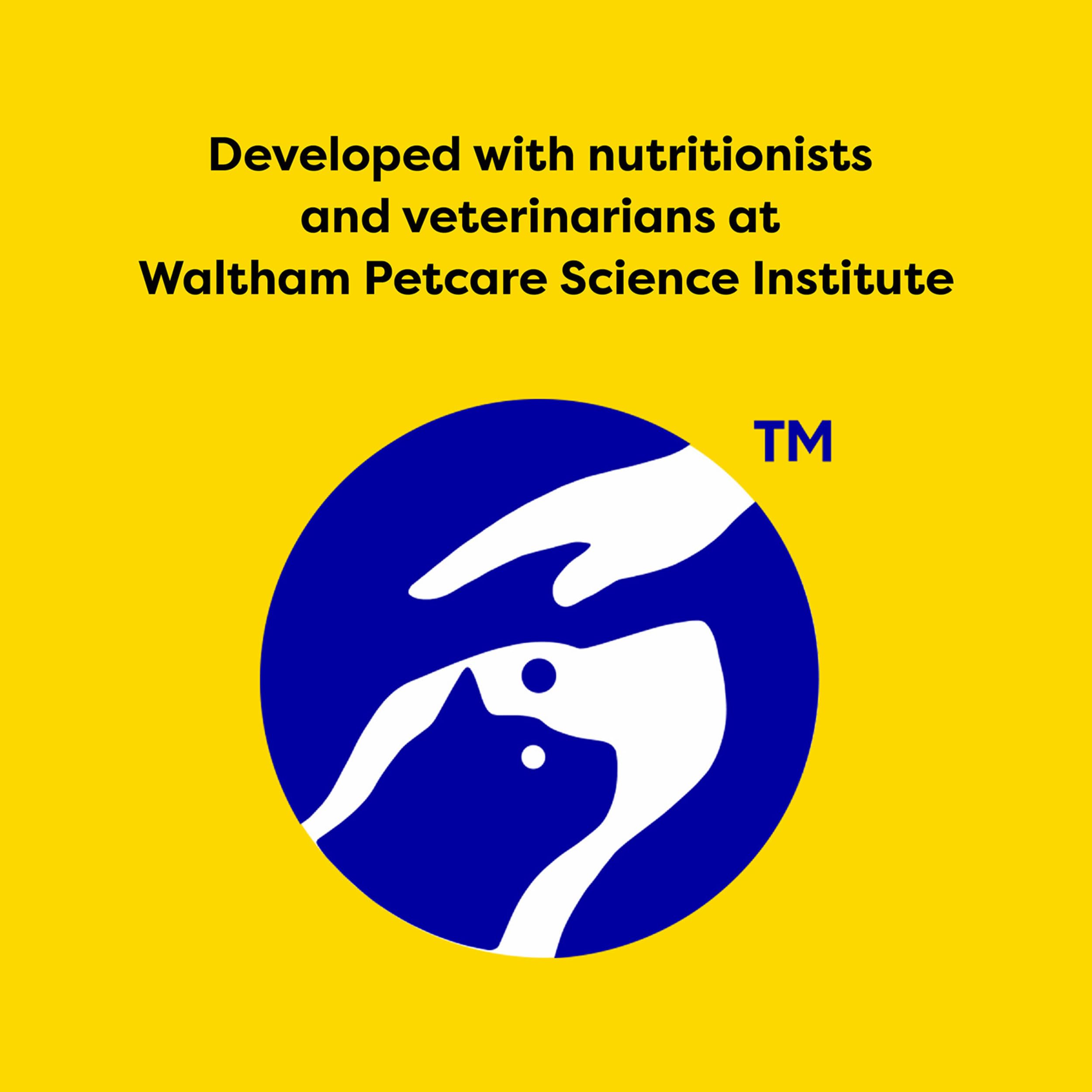 Temptations Seafood Medley snack-time captures a cat during flavor moment.