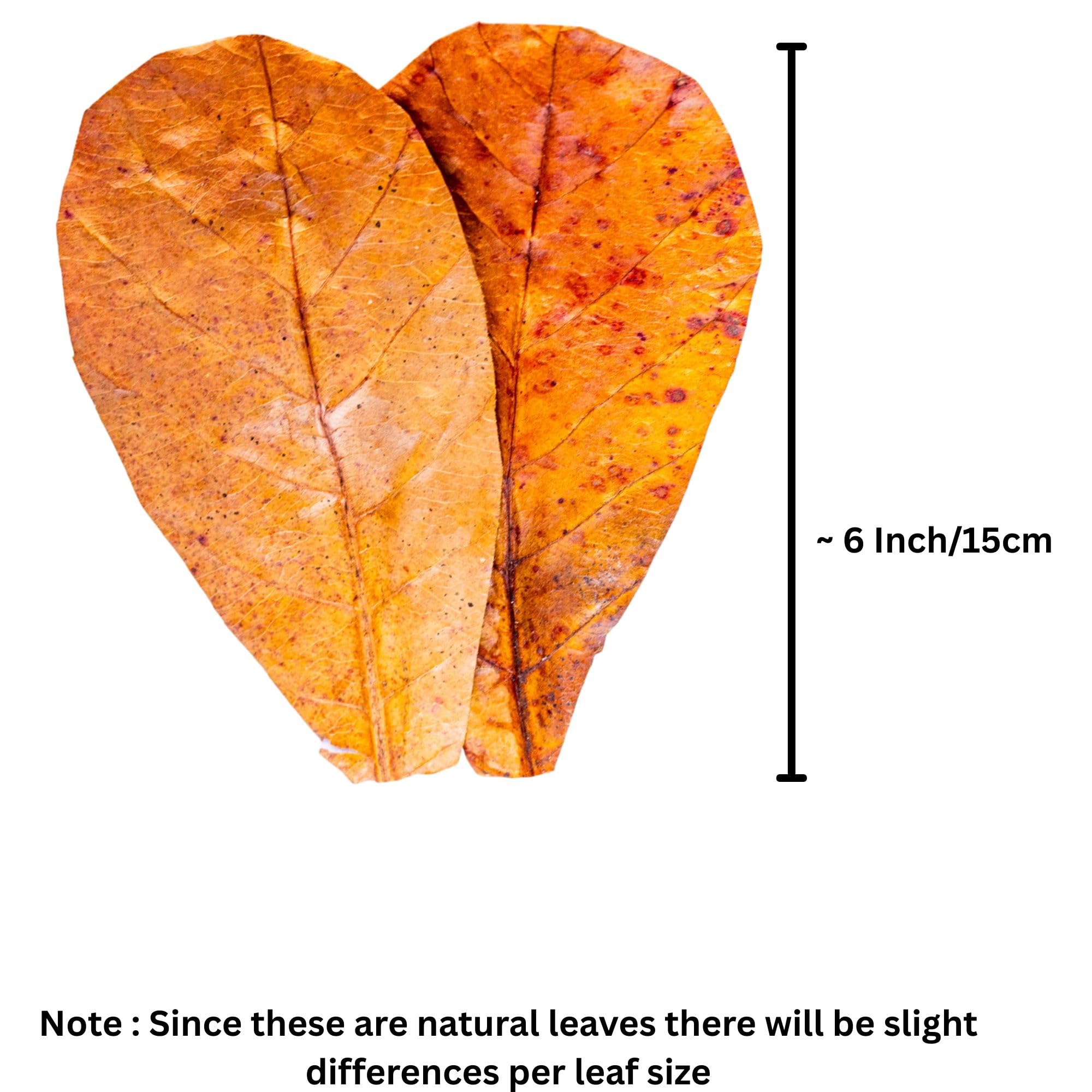Tender Tropicals easy use leaves with quick rinse and deployment for tanks