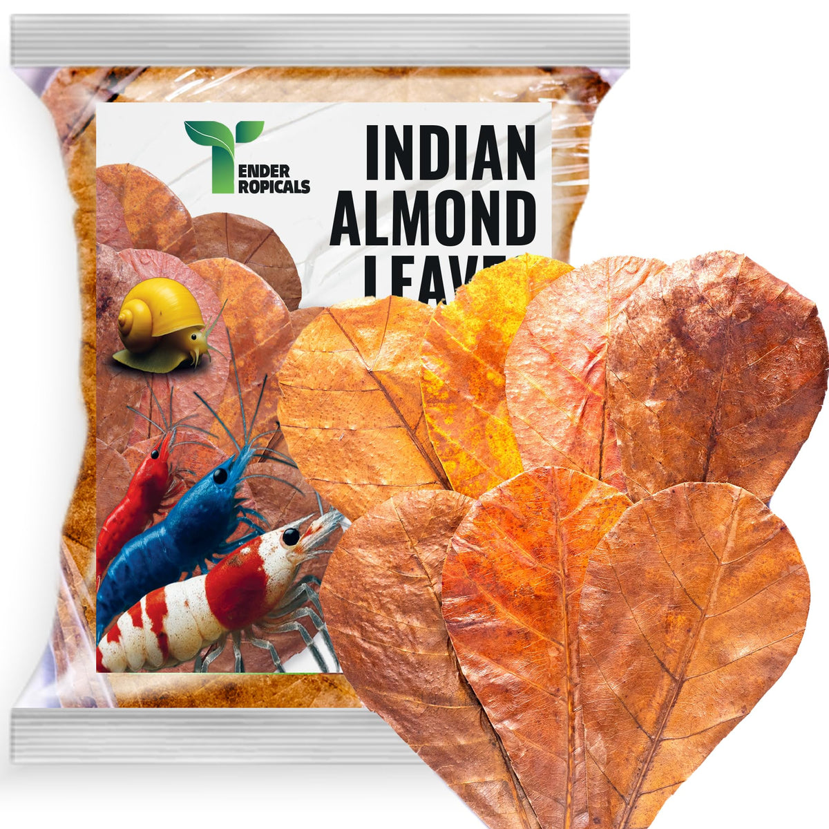 Tender Tropicals Indian Almond Leaves Pack for natural tanks with calming tannins