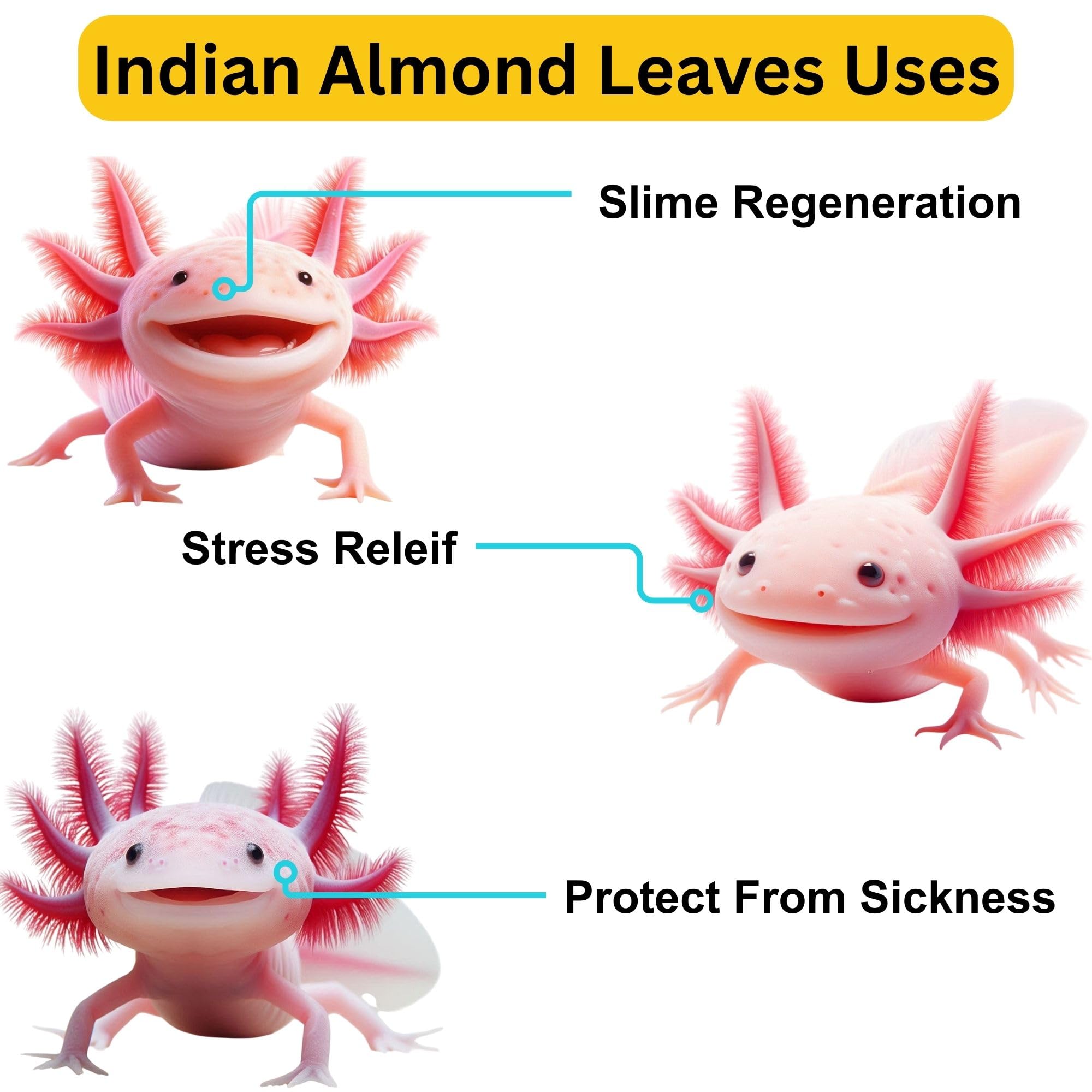 Tender Tropicals tea-color water leaf creates natural tint and aquarium ambiance.