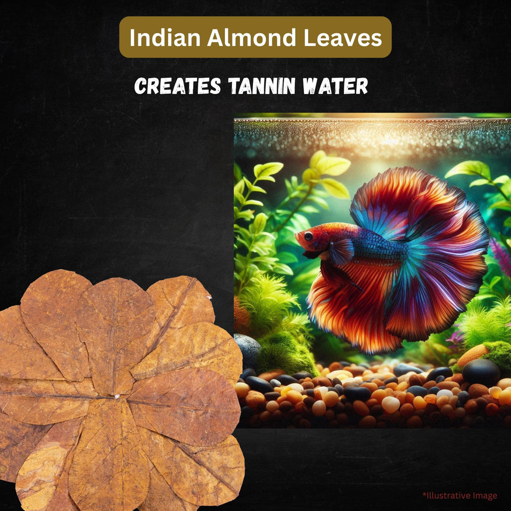 Tender Tropicals leaves in a natural aquarium scene enhance habitat realism