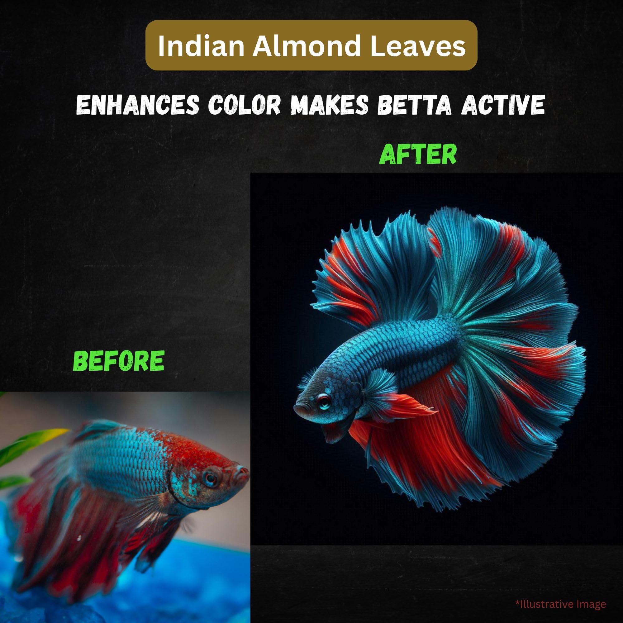 Tender Tropicals leaves in tea colored water create calm, natural tank ambiance