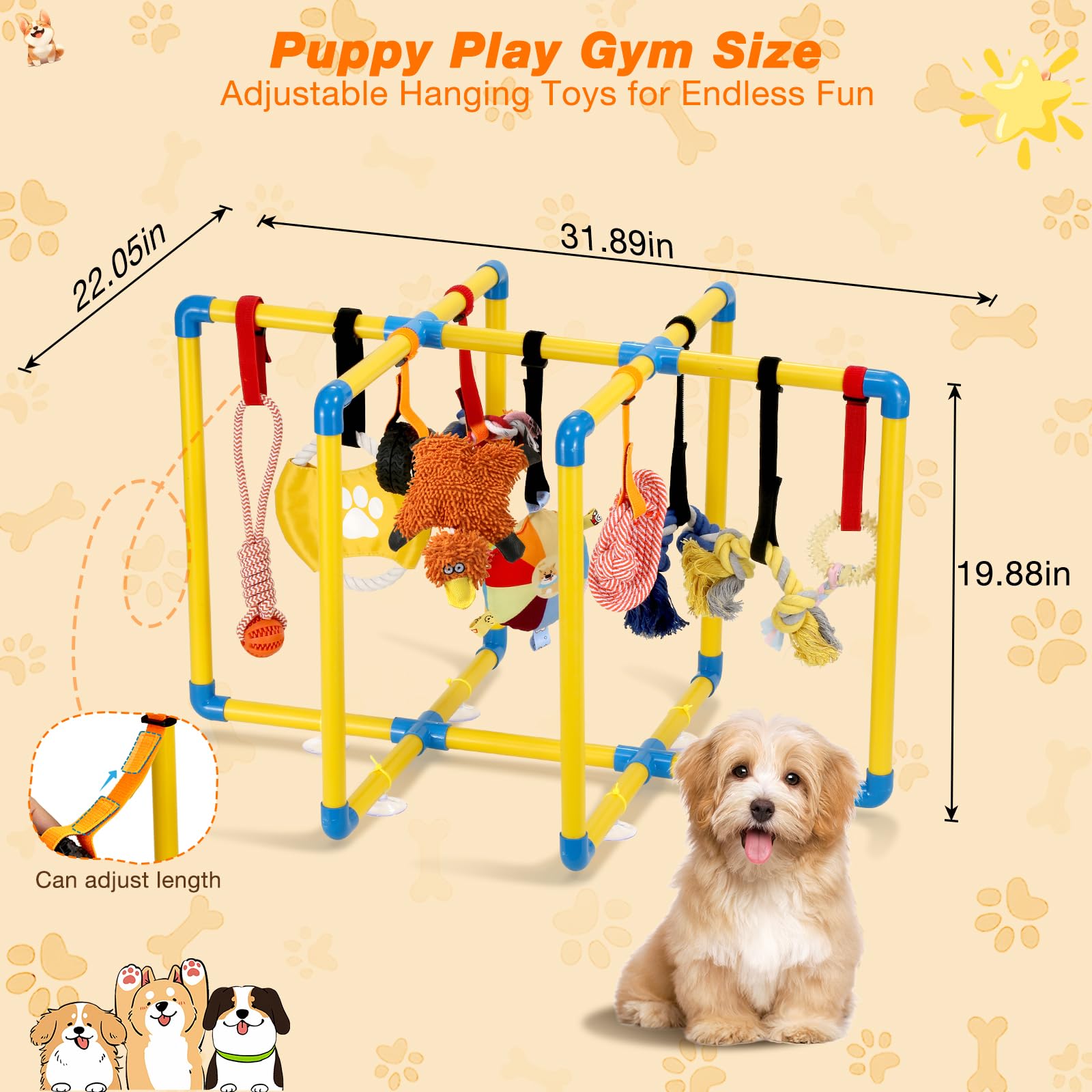 Tengantongda Puppy Play Gym adjustable height adapts to growing puppies for challenge.