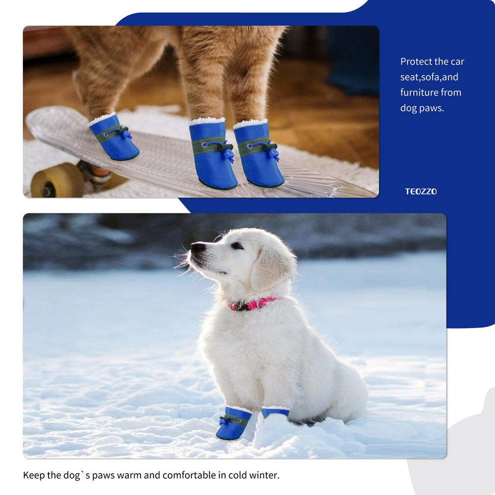 TEOZZO dog boots demonstrate summer use protecting paws on hot pavements.
