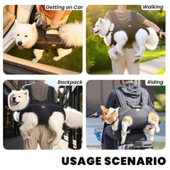 Terapaton dog lift harness car-attachment demonstrates easy car entry assistance