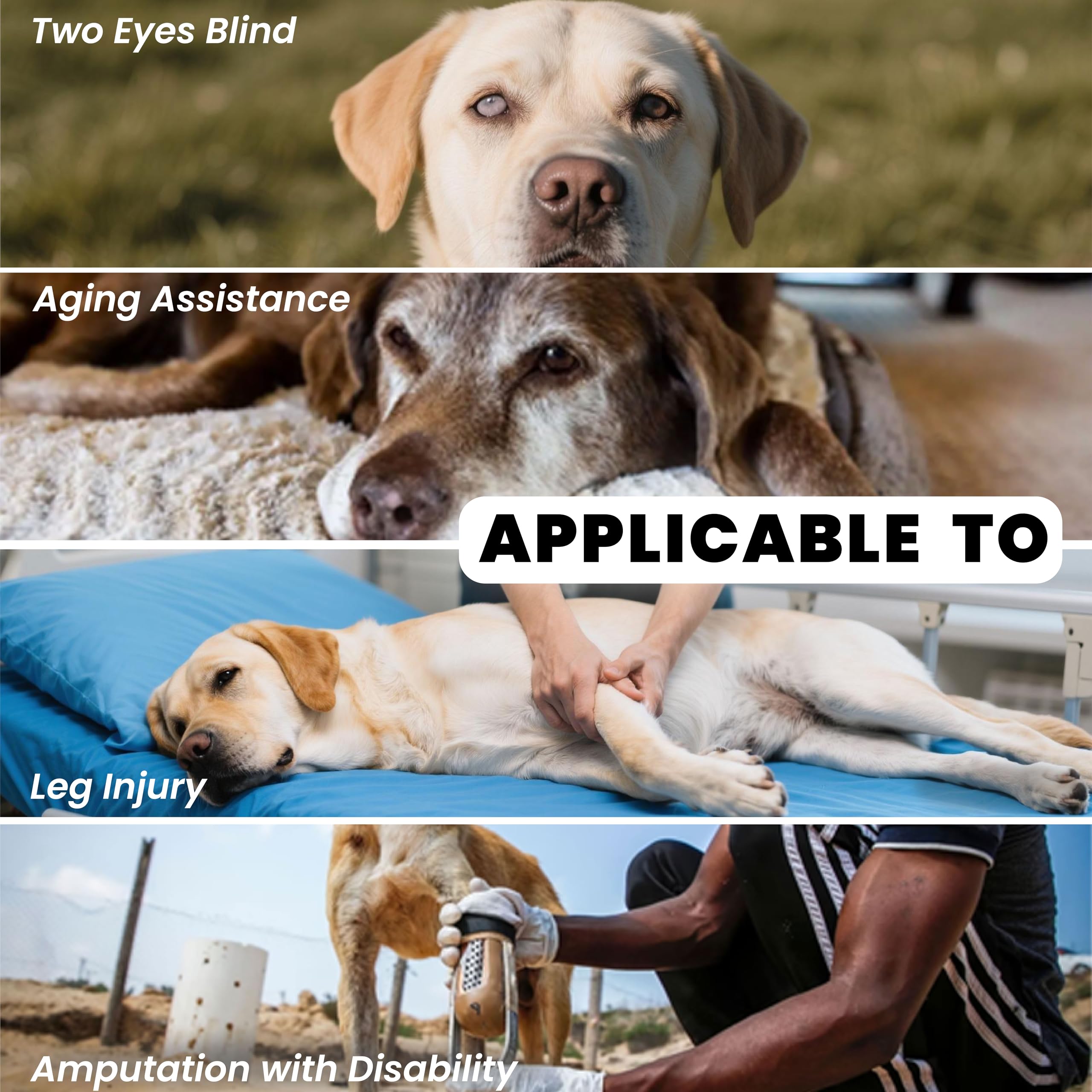 Terapaton dog lift harness durable oxford fabric supports up to 83 lbs