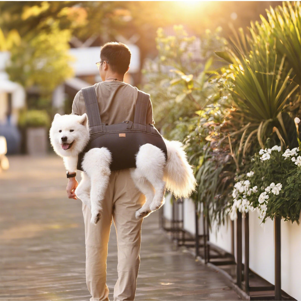 Terapaton Dog Lift Harness Mobility aid image supports joints during daily activities